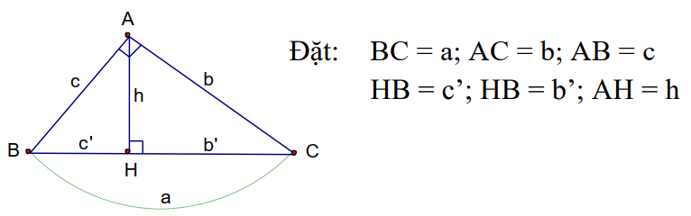 Hệ thức lượng trong tam giác vuông